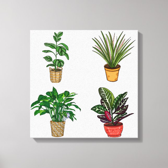 Canvas de Arte de Planta Doméstica (Frente)