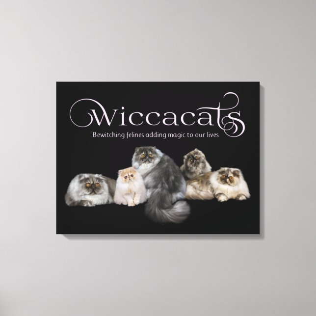 Canvas de arte do WiccaCats (Frente)