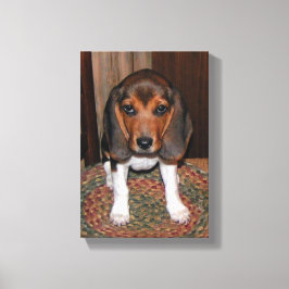 Canvas de Beagle