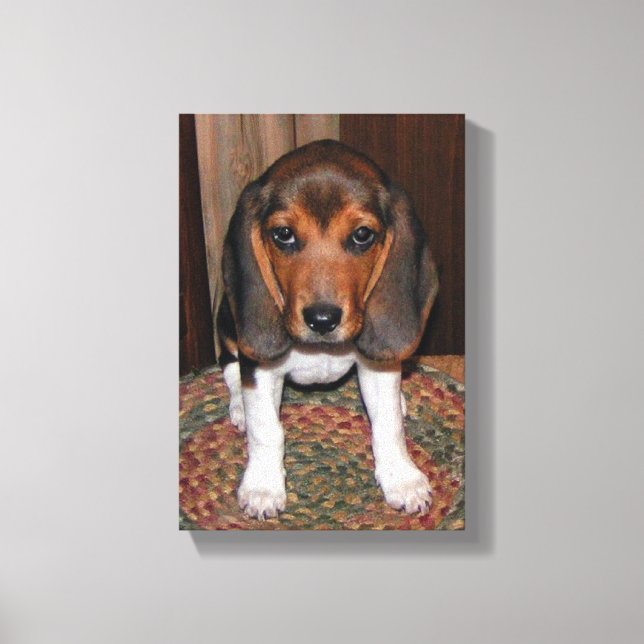 Canvas de Beagle (Frente)