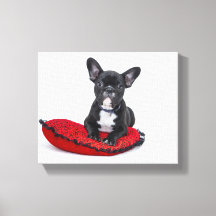Canvas de buldogue francês