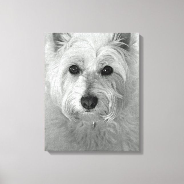 Canvas de Cachorro Ocidental (West Highland White  (Frente)