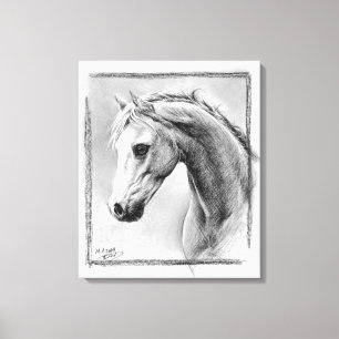 Canvas de carvão de cabeça de cavalo