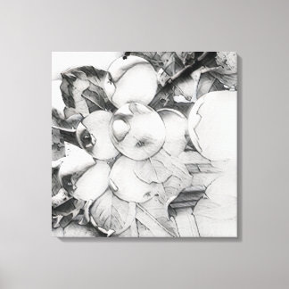Canvas de cluster da Apple em estilo lavado