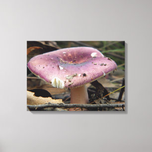 Canvas de Cogumelo Roxo