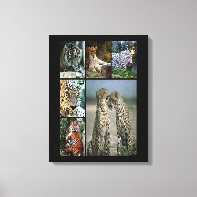 Canvas de colagem de gatos selvagens (Frente)