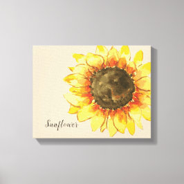 Canvas De Cores De Cores De Cana