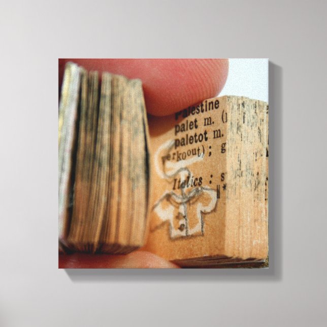 Canvas de Desenho da Jaqueta Miniatura DicofrAngle (Frente)