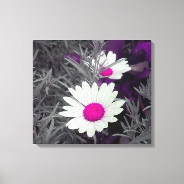 Canvas de Disies (com Cor-de-Rosa) (Frente)