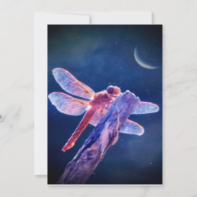 Canvas de Dragonfly, Canvas de boho doce e macia p (Frente)