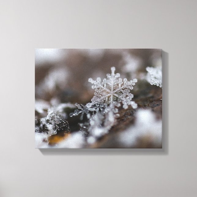 Canvas de flocos de neve (Frente)