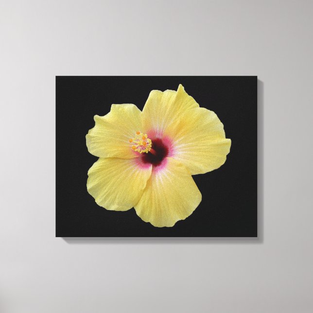 Canvas de Flor de Hibiscus Amarelo (Frente)
