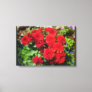 Canvas de Flor Red Dahlia
