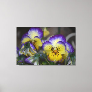 Canvas de Flor Roxo e Amarelo