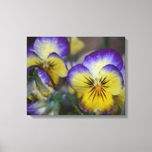 Canvas de Flor Roxo e Amarelo