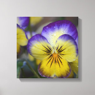 Canvas de Flor Roxo e Amarelo