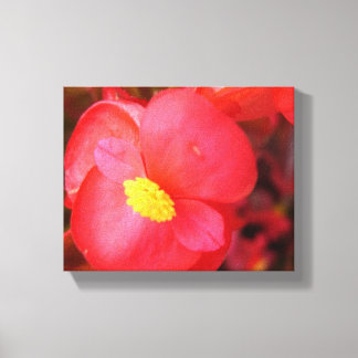 Canvas de Flor Vermelho