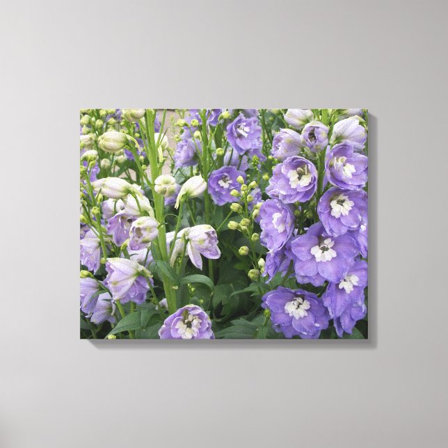 Canvas de Flores de Delfinum (Frente)