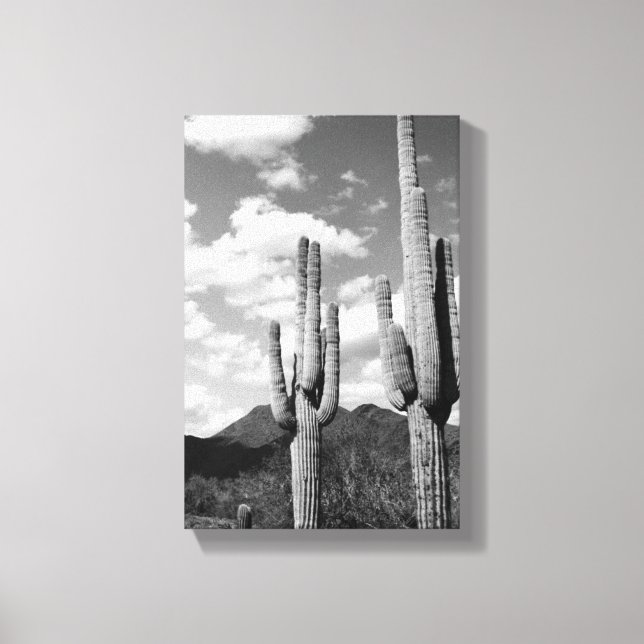 Canvas de Foto Saguaro Sentinels (Deserto do AZ So (Frente)