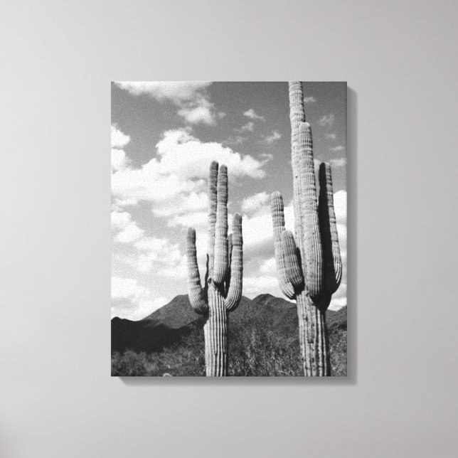 Canvas de Foto Saguaro Sentinels (Deserto do AZ So (Frente)