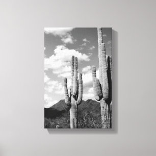 Canvas de Foto Saguaro Sentinels (Deserto do AZ So