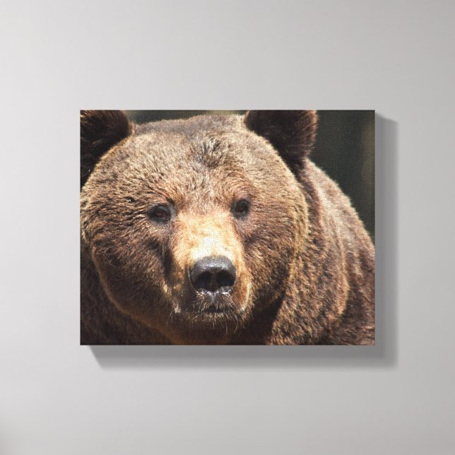 Canvas DE FOTOGRAFIA DE CARNE GRIZZELMENTE (Frente)