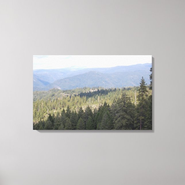 Canvas de Fotografia de Pine da Califórnia (Frente)