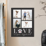 Canvas de Fotografias de Pet de Cor Editável com P<br><div class="desc">Preservar os momentos do precioso com decor personalizado de parede. Faz um presente excelente! Desenhado por Berry Berry Sweet. Visite nosso site em berryberrysweet.com para saber mais sobre nós e nossas linhas de produtos de cheio.</div>