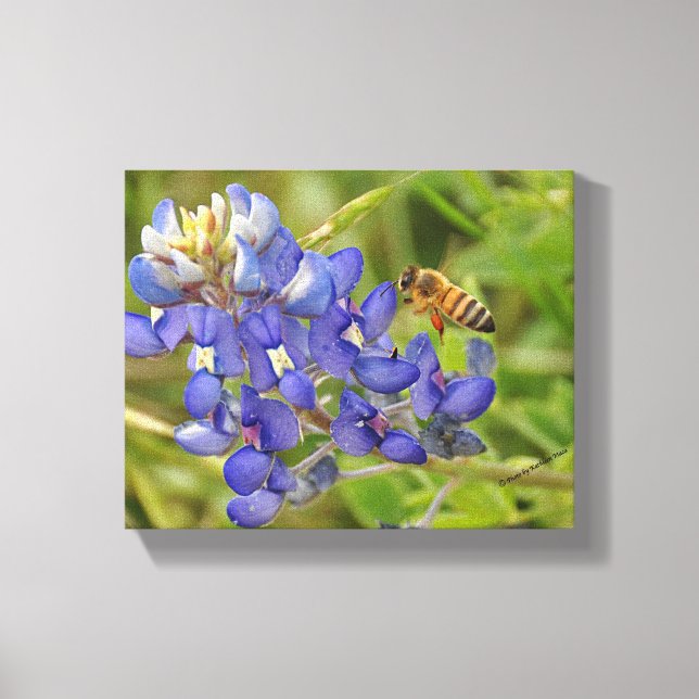 Canvas de fotos de Bluebonnet e Bee (Frente)