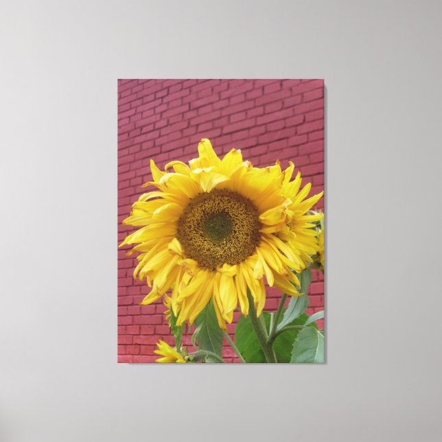 Canvas de girassol (Frente)