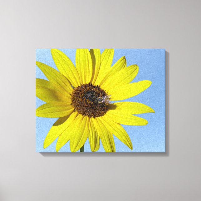 Canvas de girassol (Frente)