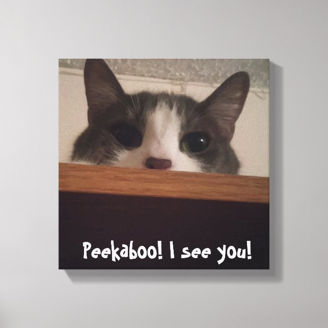 Canvas de Imagens de Gato Gatinho Bestial (Frente)