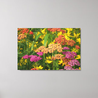 Canvas de Impressão de Flores de Jardim Coloridas