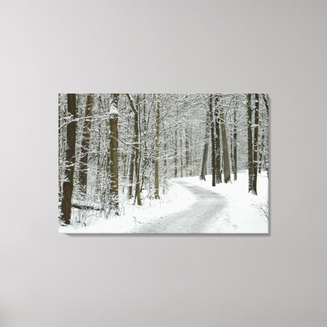 Canvas de Impressão de inverno (Frente)