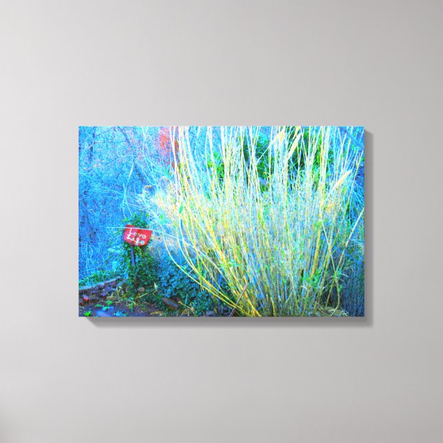 canvas de jardim de vida amorosa (Frente)