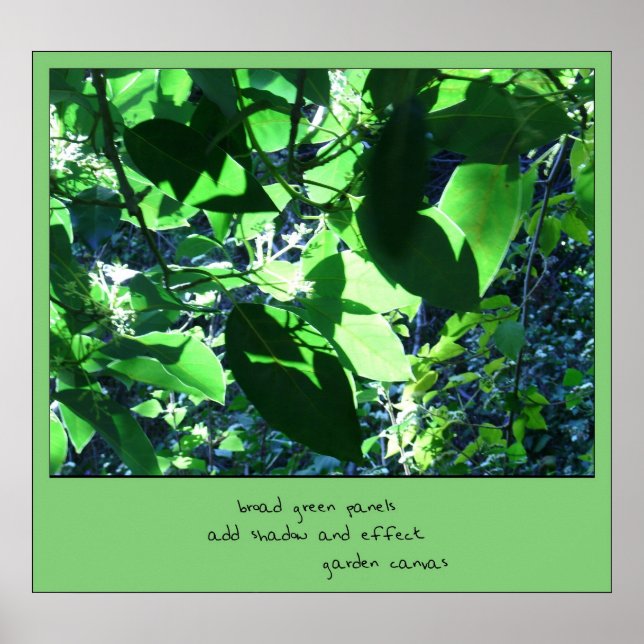Canvas de jardim Haiku Art Impressão (Frente)