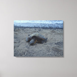 Canvas de Kiholo Bay Hawaii
