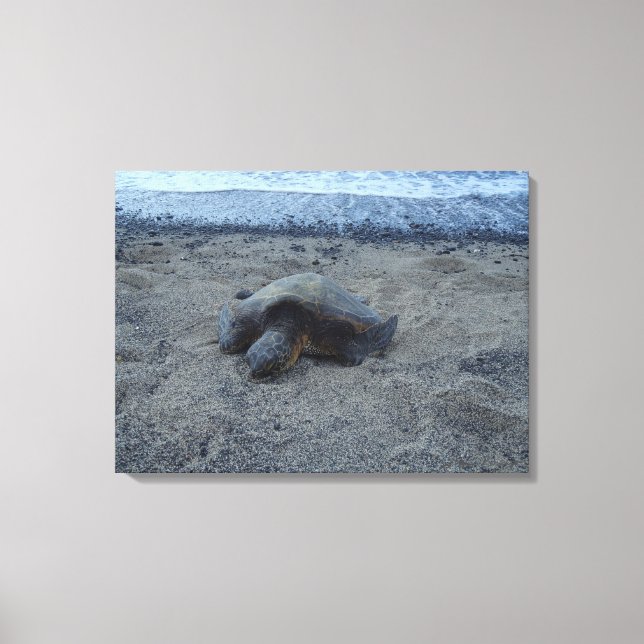 Canvas de Kiholo Bay Hawaii (Frente)