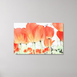 canvas de lindas tulipas vermelhas