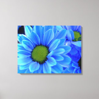 Canvas de margarida azul