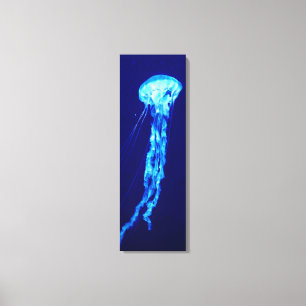 Canvas de medusa