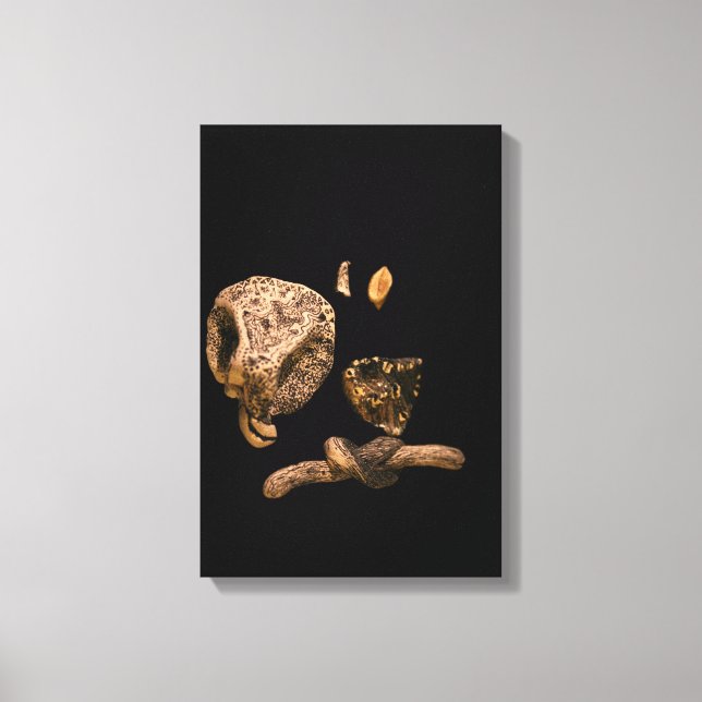 Canvas de Micro Esculturas Miniatura Micromanética (Frente)