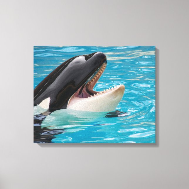 Canvas de Orca (Frente)