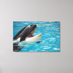 Canvas de Orca