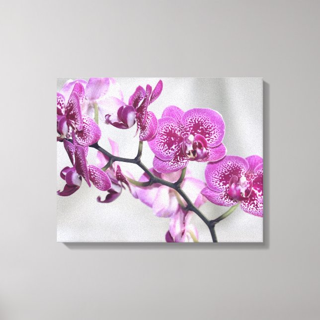 Canvas de Orquídeas Rosa (Frente)