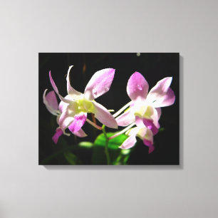 Canvas de Orquídeas Rosa