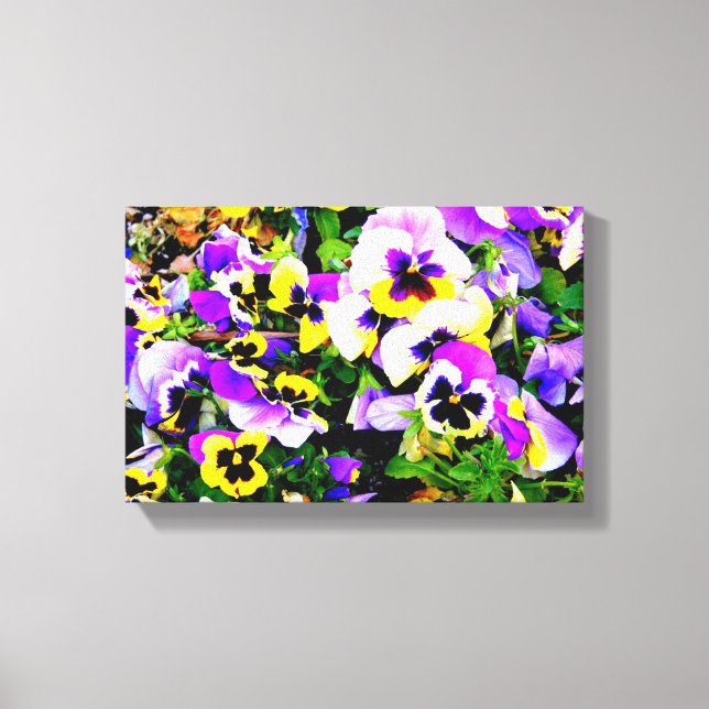 canvas de pansias de várias cores (Frente)