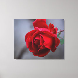 Canvas de parede estendida