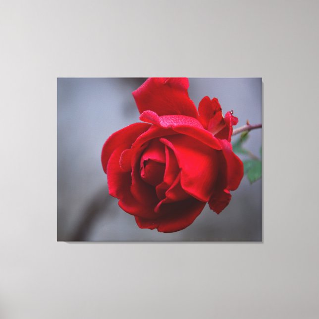 Canvas de parede estendida (Frente)