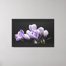 Canvas de parede estendida